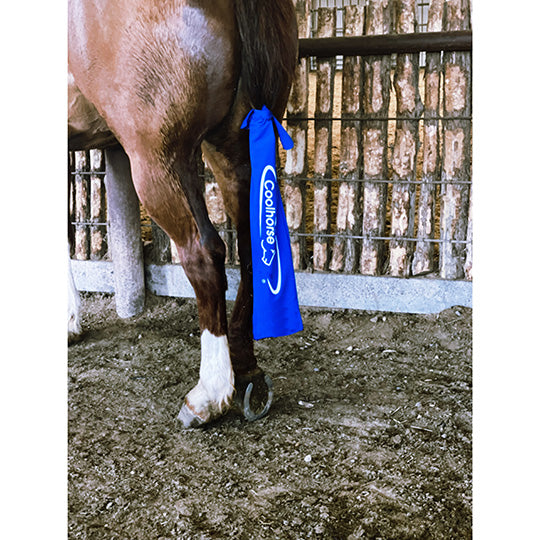 Coolhorse Lycra Tail Bag-Blue