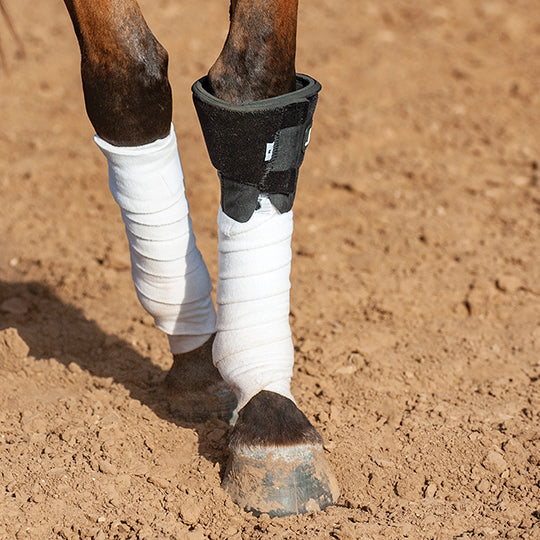 Classic Equine Knee Boot 2.0