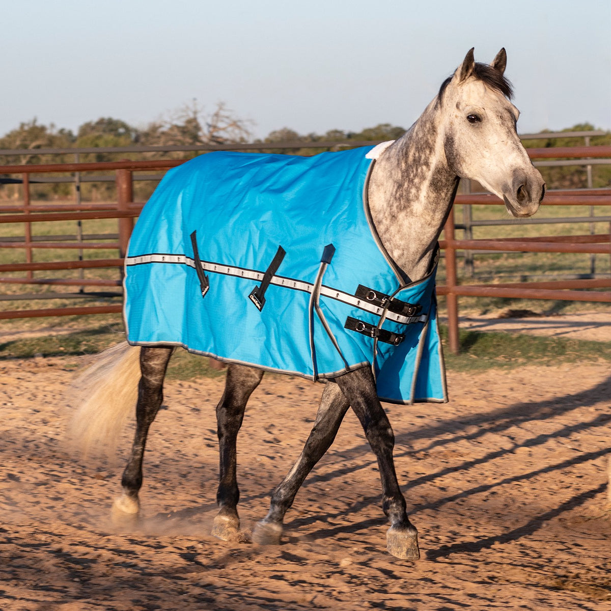 Classic Equine 10K Cross Trainer Turnout Blanket- Aloha Blue