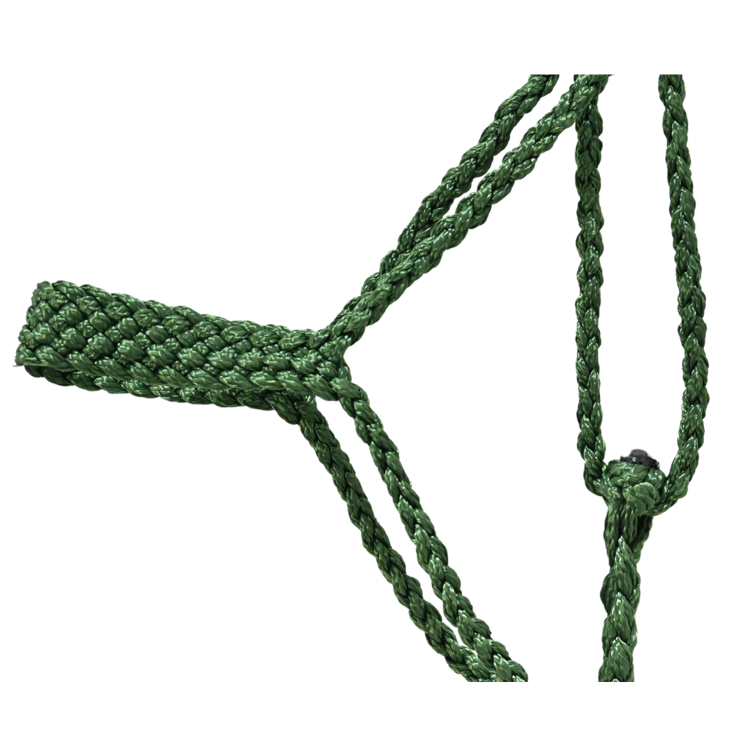 Cashel Flat Braid Halter with Lead Rope- Green