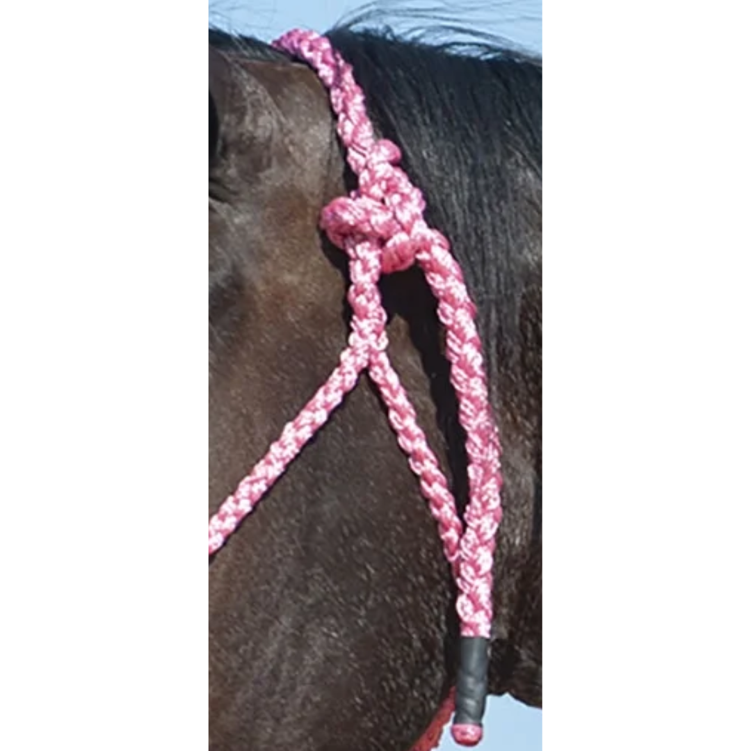Cashel Flat Braid Halter with Lead Rope- Pink