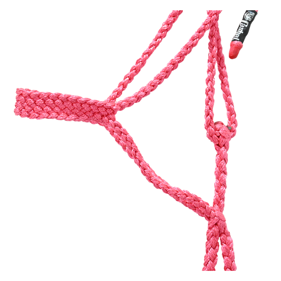 Cashel Flat Braid Halter with Lead Rope- Pink