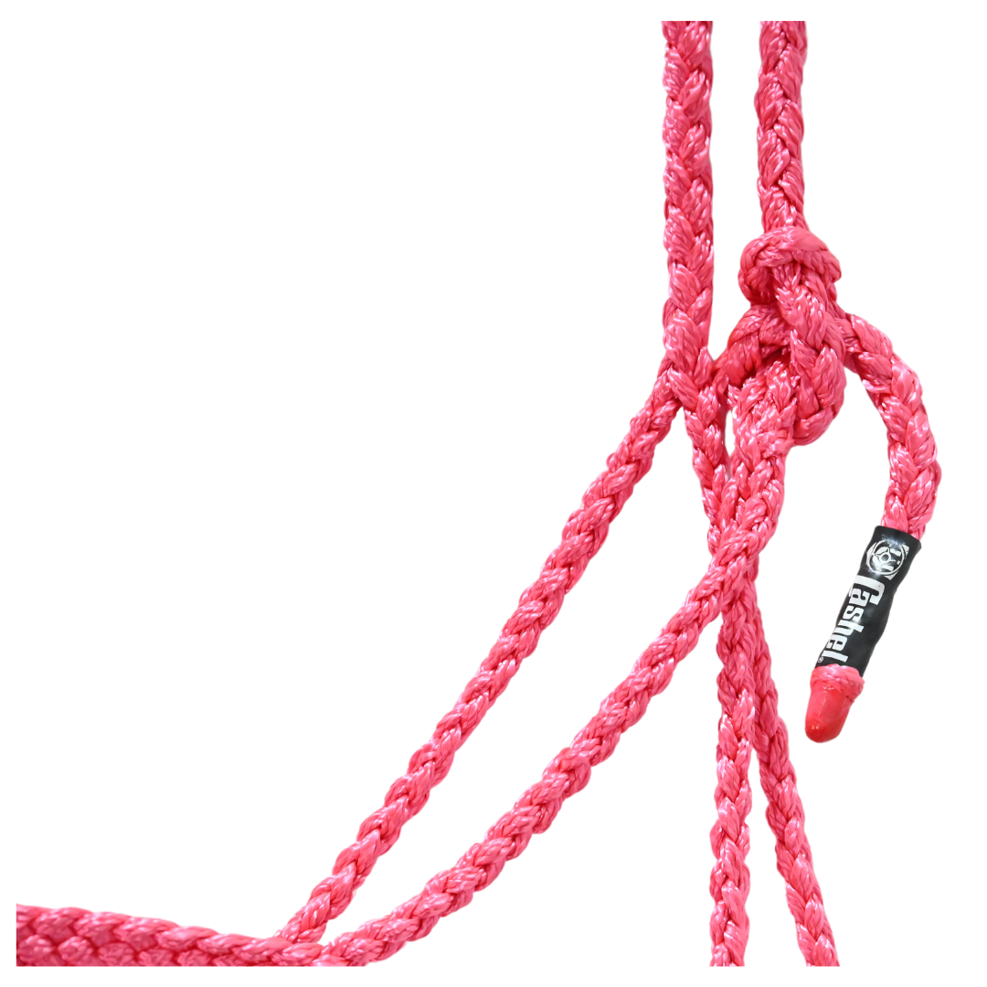 Cashel Flat Braid Halter with Lead Rope- Pink