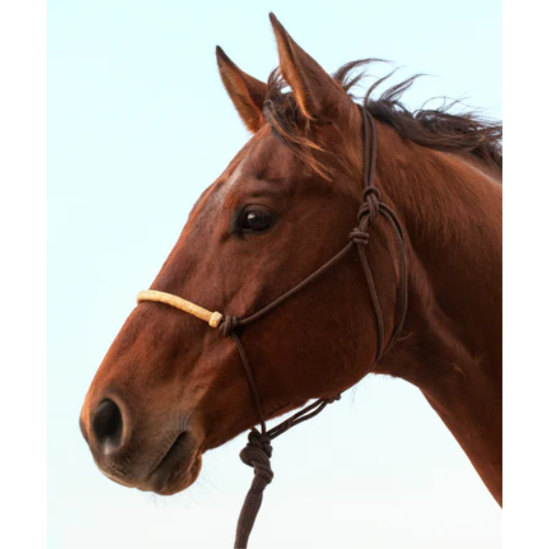 Classic Equine Rawhide Noseband Rope Halter with Lead