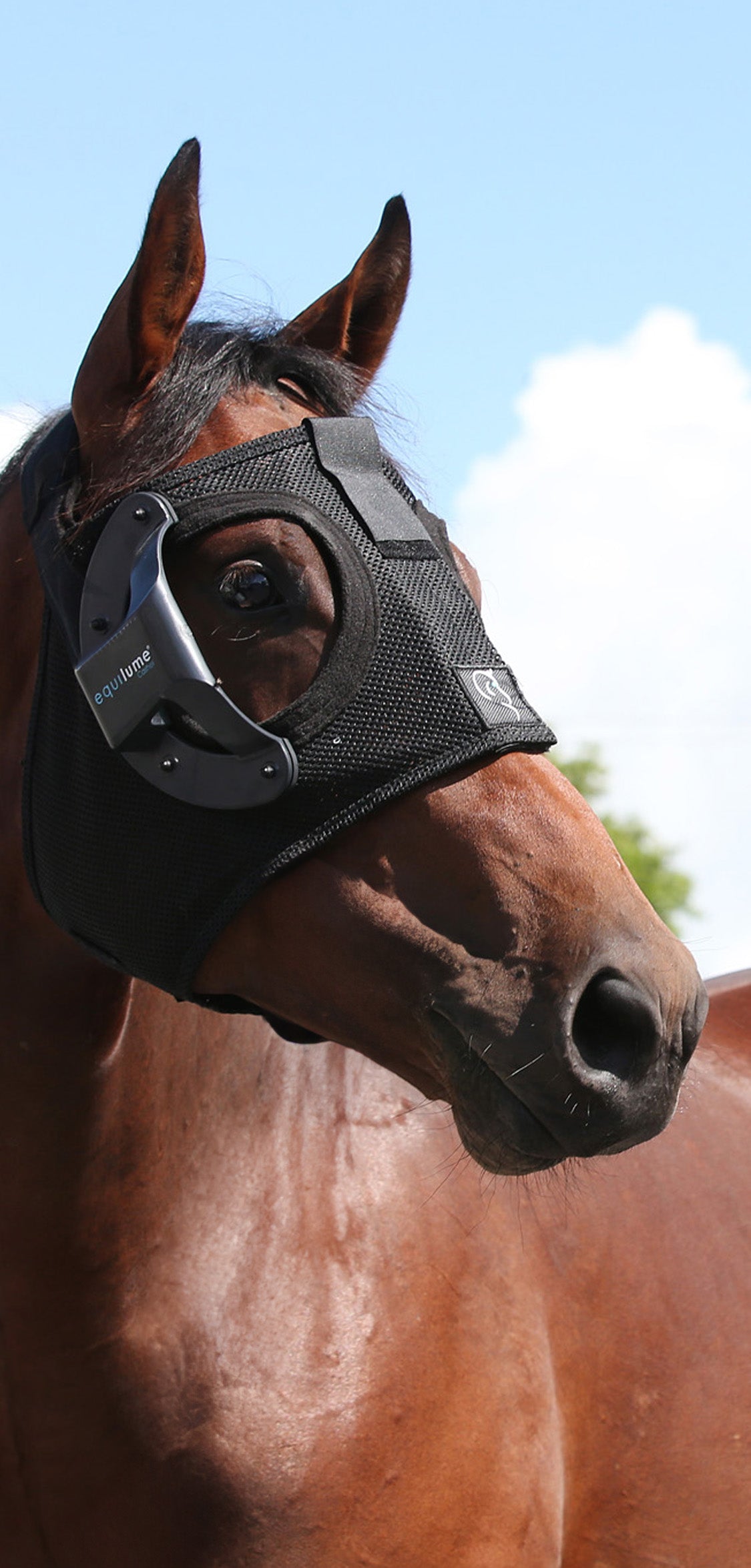Equilume Curragh Replaceable Breeding Light Mask