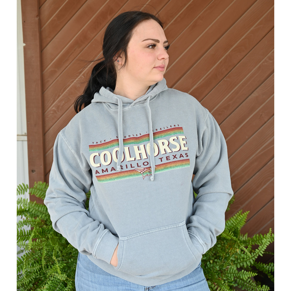 Coolhorse Steel Gray Stripe Logo Hoodie