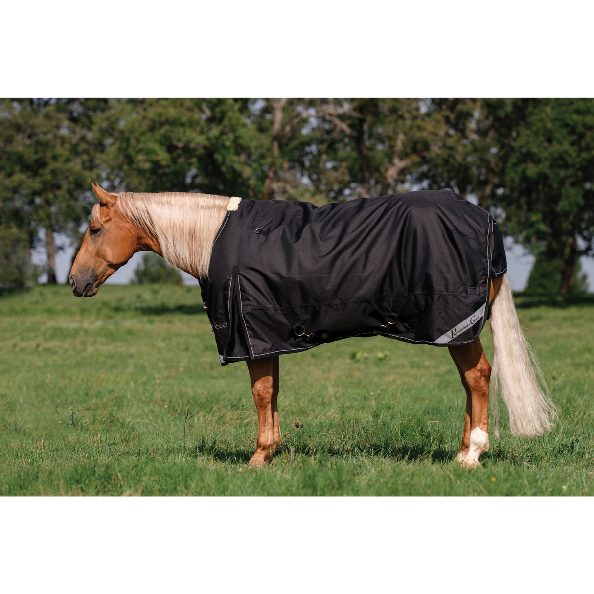 Professional's Choice Black Horse and Pony Equisential 600D Turnout Blanket- 250G