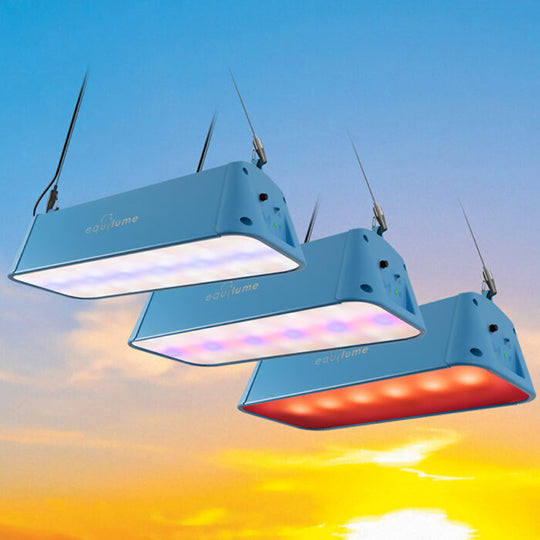 Equilume Stable Light V3 (Single Unit)