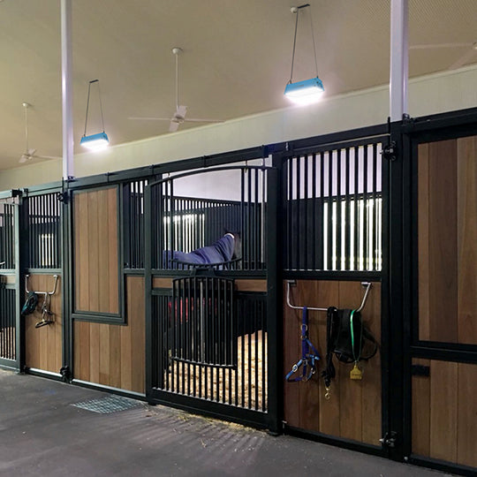 Equilume Stable Light V3 (Single Unit)