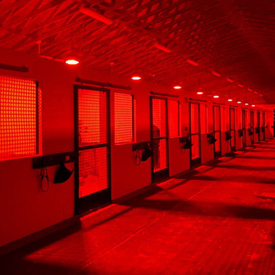 Equilume Stable Light V3 (Single Unit)