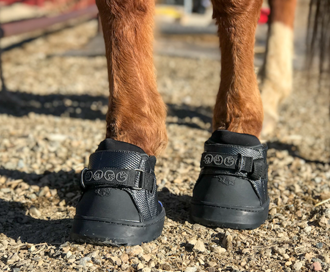 EasyCare Inc. Easyboot Sneaker Hoof Boot- Single