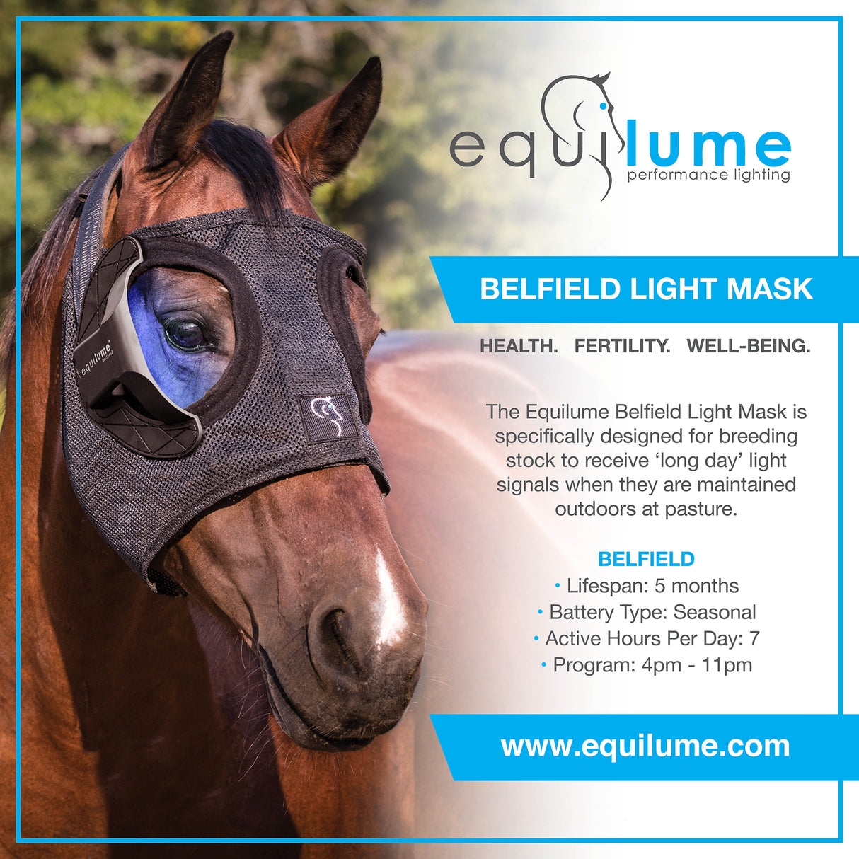 Equilume Belfield Single Season Breeding Light Mask