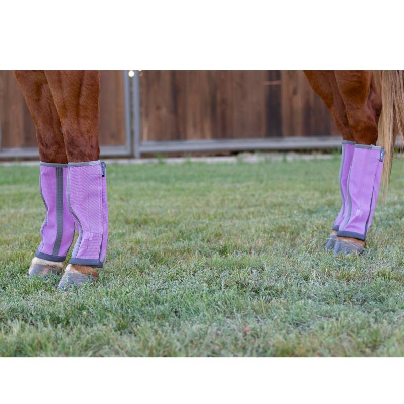 Professional's Choice Deluxe Fly Boots (4 Pack)- Orchid