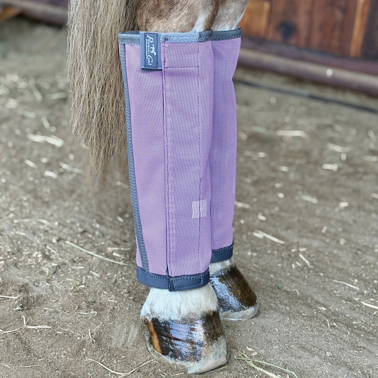 Professional's Choice Deluxe Fly Boots (4 Pack)- Orchid