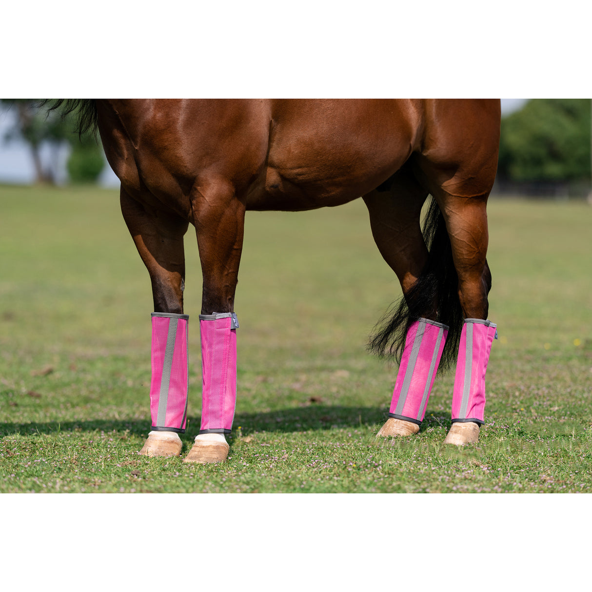 Professional's Choice Deluxe Fly Boots (4 Pack)- Pink