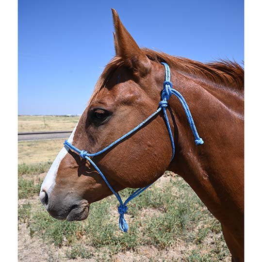 Double Diamond Halter Designed by Buck Brannaman- Light Blue/Black