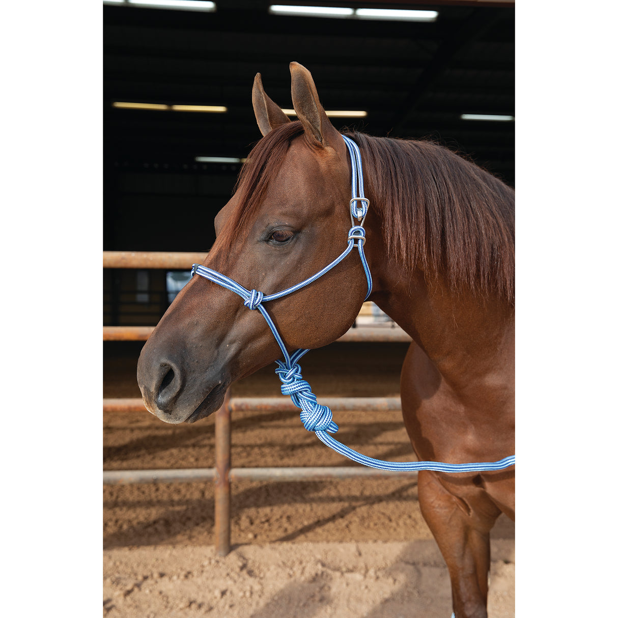 Professional's Choice Easy On Rope Halter with Lead Rope- Turquoise