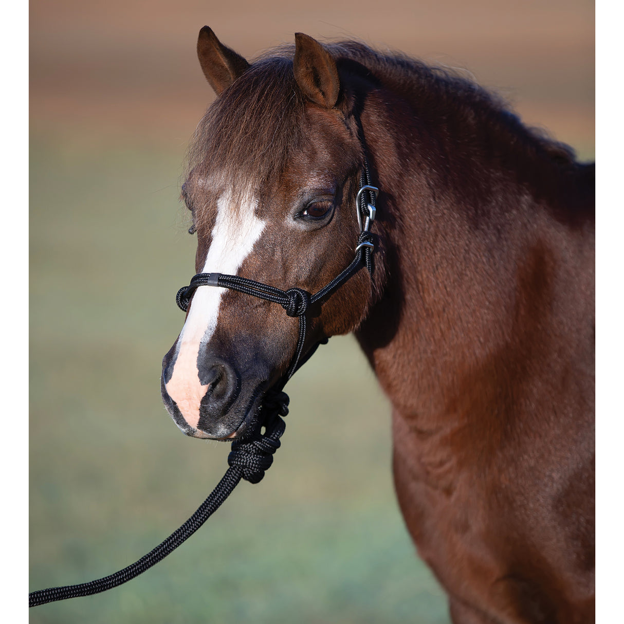 Professional's Choice Easy On Pony Rope Halter with Lead Rope- Black