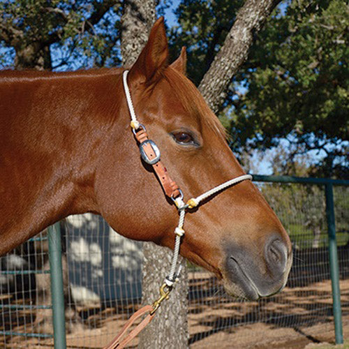 Martin Saddlery Adjustable Head Setter Tiedown Noseband