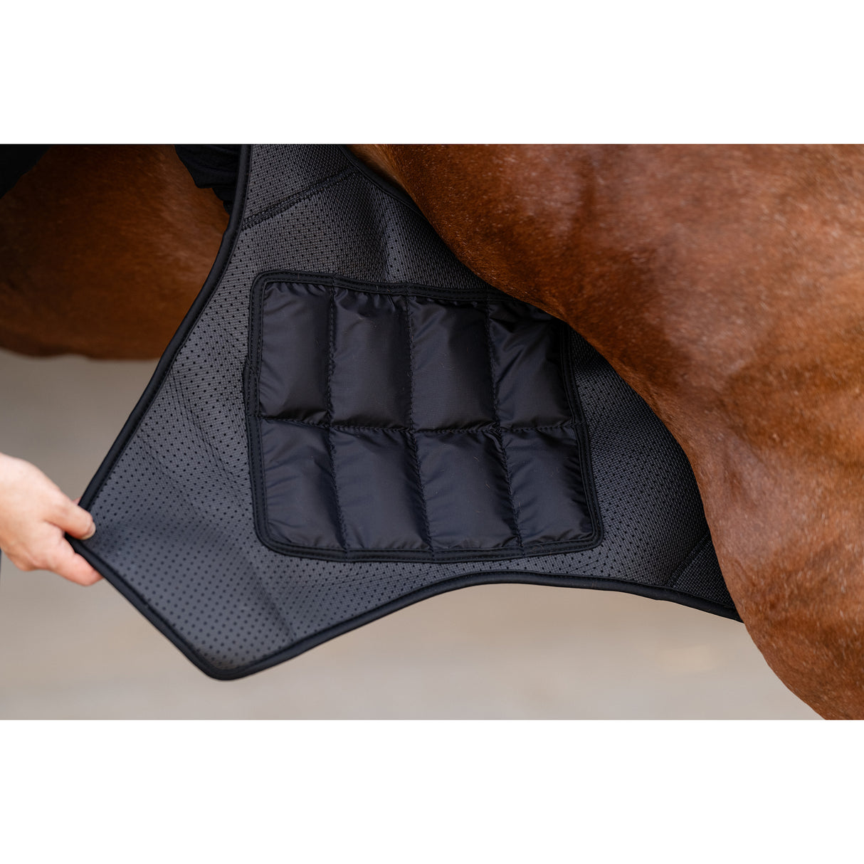 Professional's Choice Ice Stifle Wrap- Pair