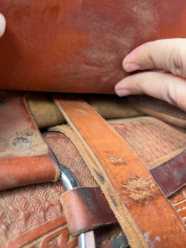 Coolhorse Leather 31" Kid's Buddy Stirrup Leather (STIRRUPS NOT INCLUDED)