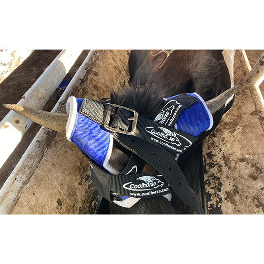 Coolhorse Horn Wrap Deluxe by Professional's Choice For Team Roping Steers