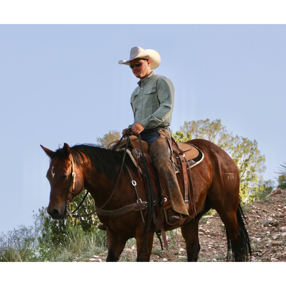 Coolhorse Long Sleeve Sage Green Pearl Snap Button Up Shirt