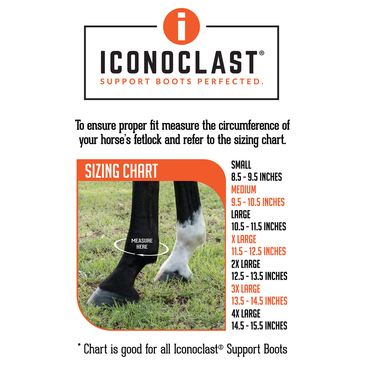 Iconoclast Front and Hind Orthopedic Boot Combo Pack- Black