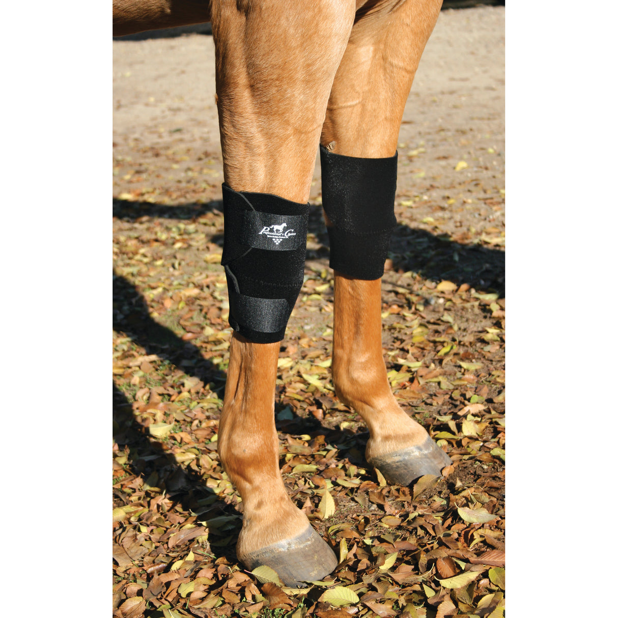 Professional's Choice Equine Knee Boots