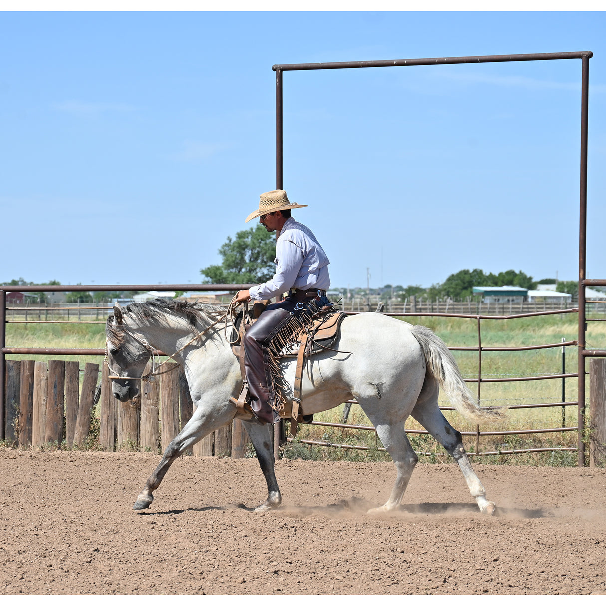 K Bar J Leather Co. Unisex Dark Brown Smoothout Versatility Chaps