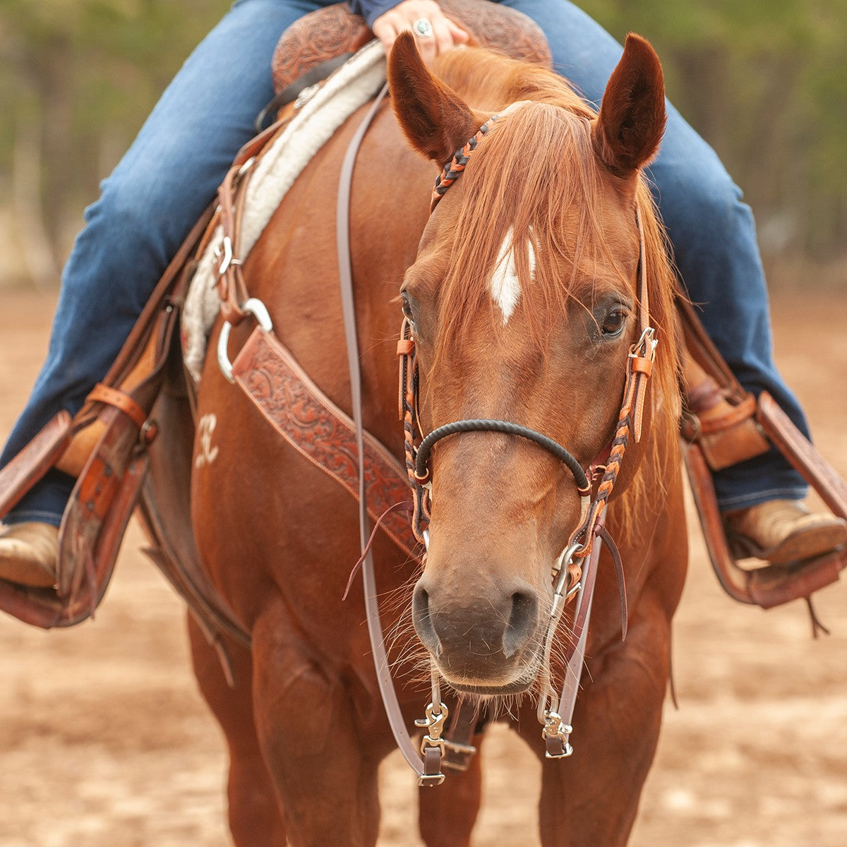 Martin Saddlery Single 1/2" Rope Noseband w/ Shrinkwrap