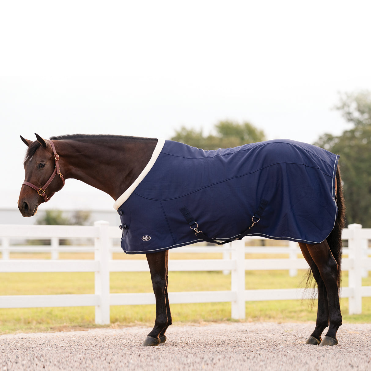 Professional's Choice Soft Shell Cooling Sheet- Navy