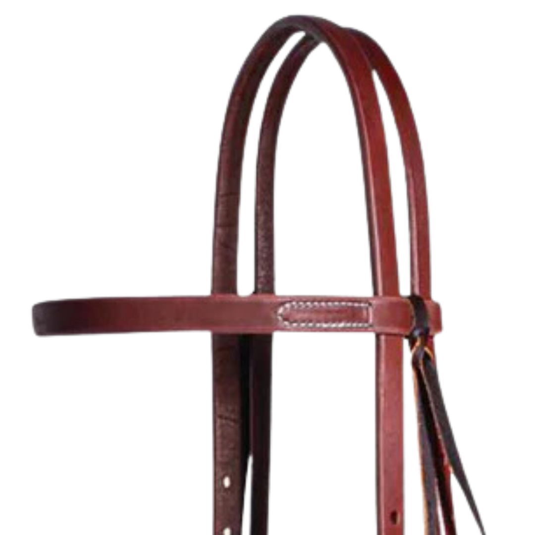 Professional's Choice Ranch Browband Buckle Headstall