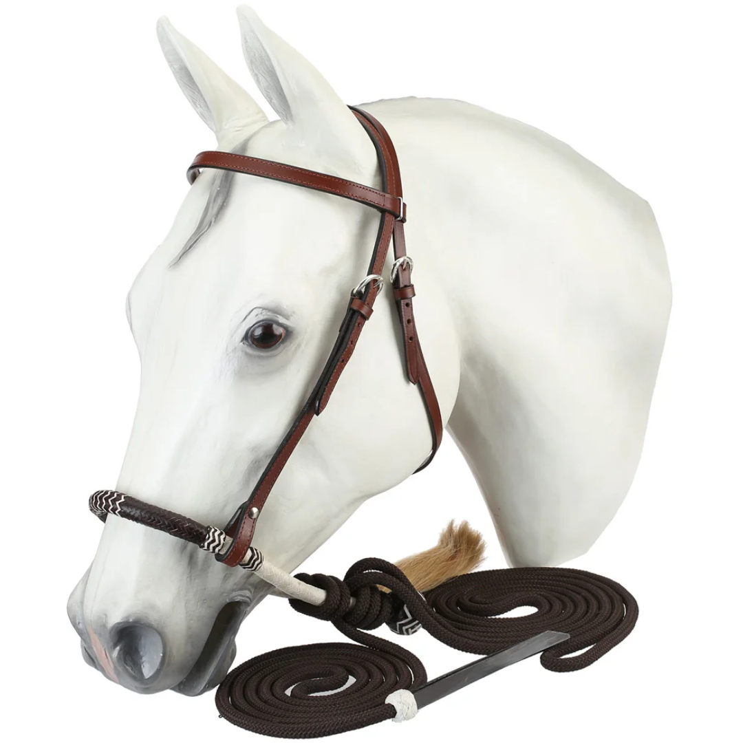 Royal King Browband Headstall Bosal/Cotton Cord Mecate Set