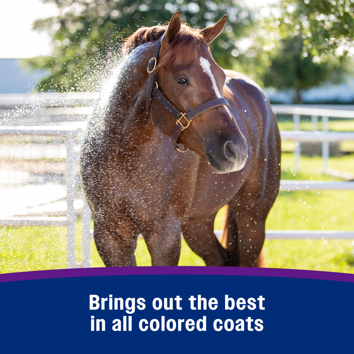 Farnam Vetrolin White 'N Brite Deep-Cleaning Color-Brightening Shampoo- 32oz.