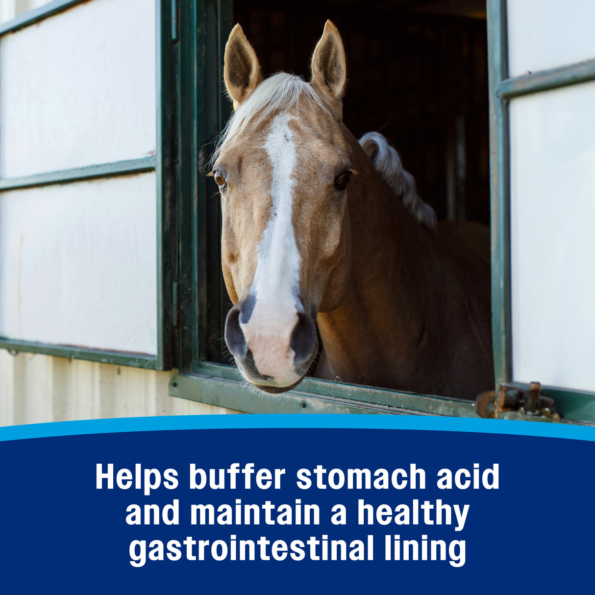 Farnam Gastric Health Pellets- 3.75lb