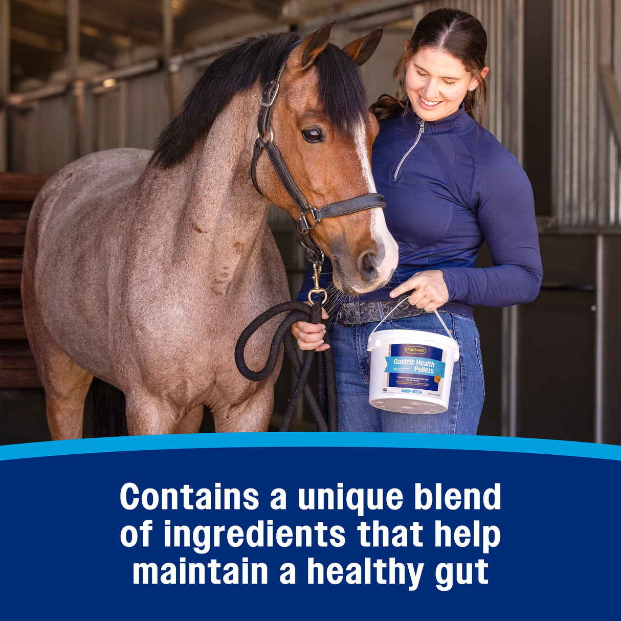 Farnam Gastric Health Pellets- 3.75lb