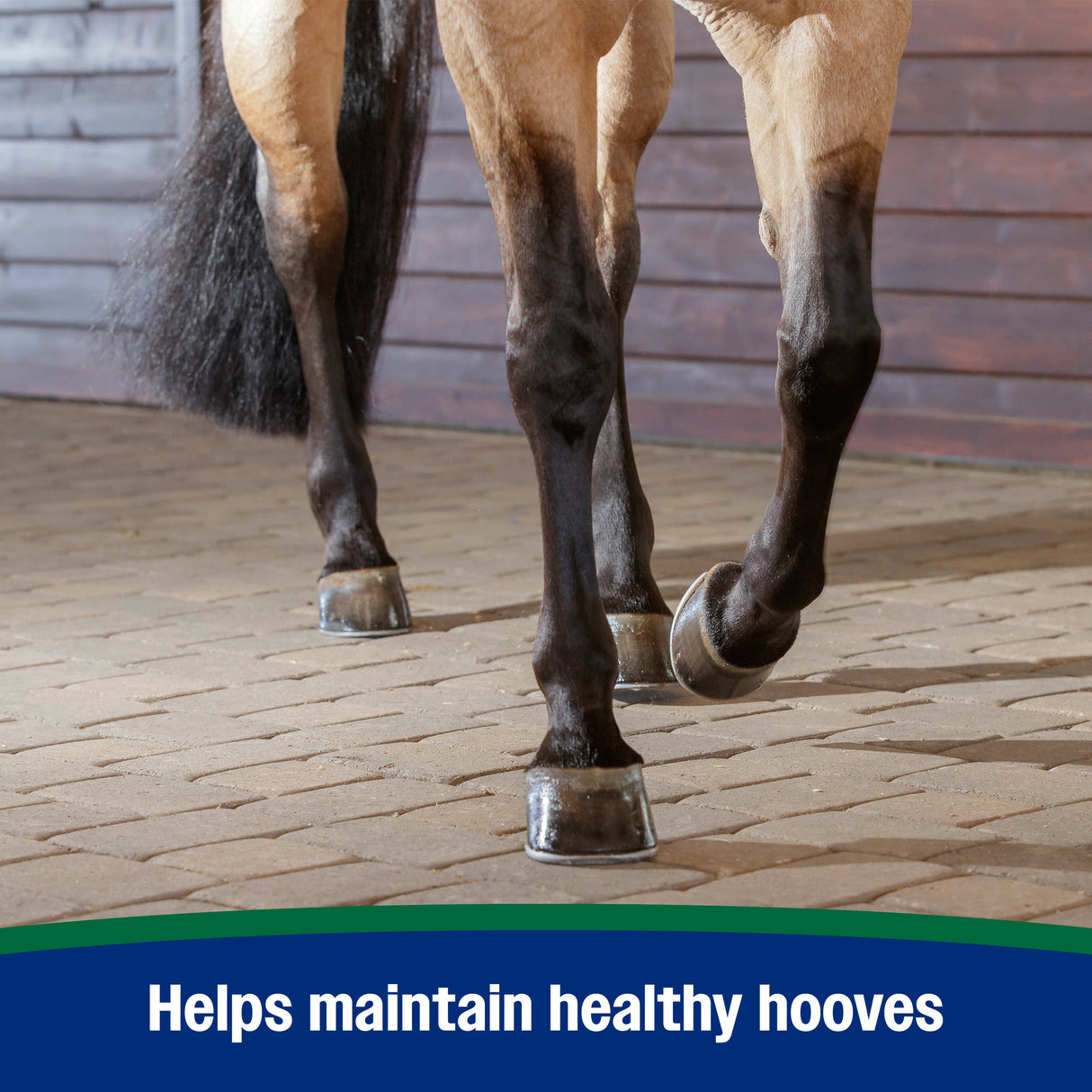 Farnam Horseshoer's Secret Pelleted Hoof Supplement- 11lb