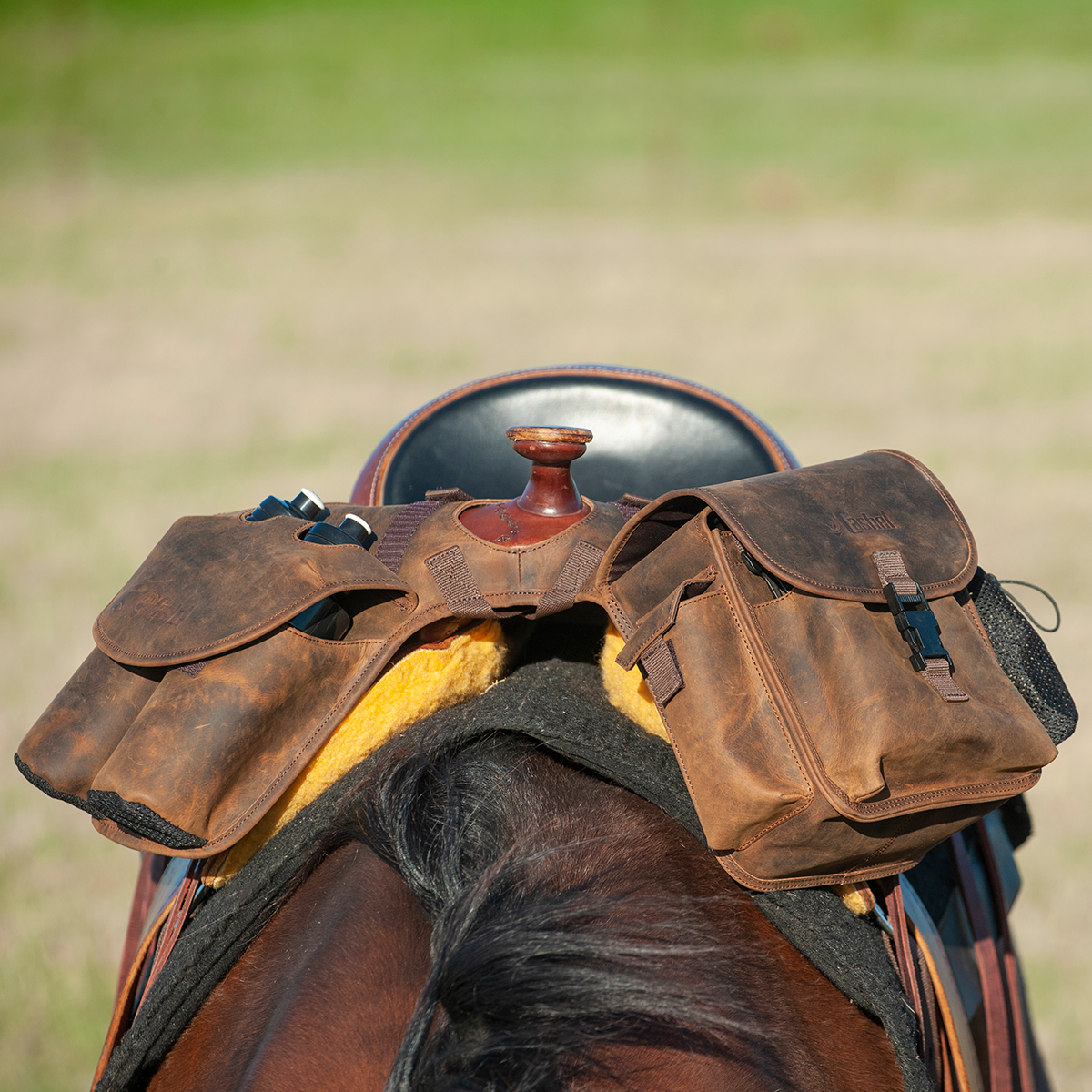Cashel Distressed Leather Saddle Horn Bag