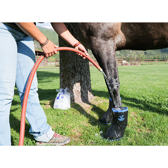 EasyCare Inc. Easyboot Remedy Hoof Ice Boot