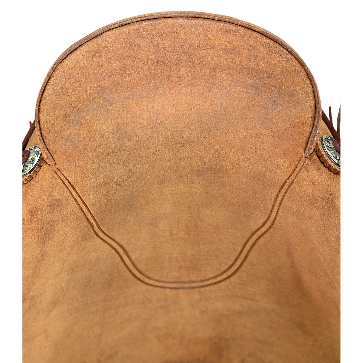 New! 14.5" Cactus Ranch Saddle