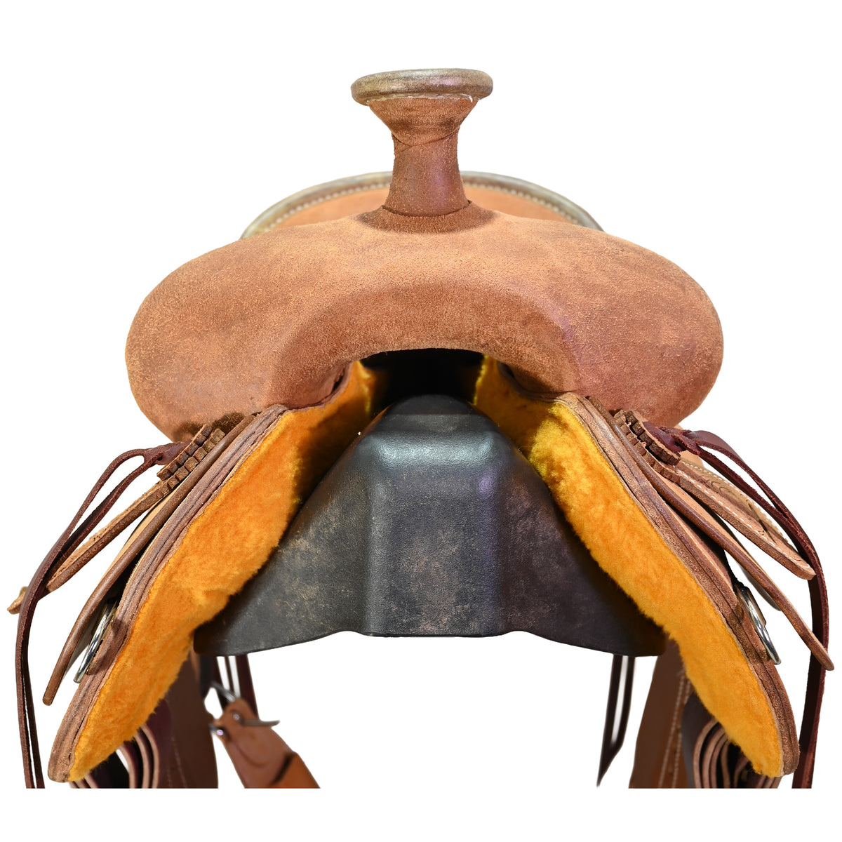New! 15" Cactus Will James Ranch Saddle