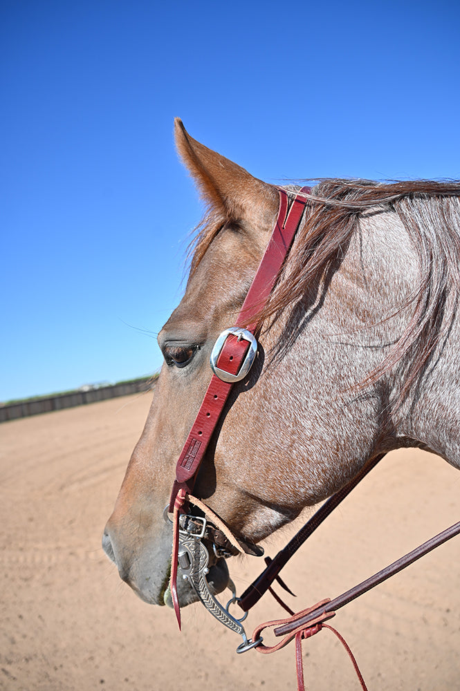 Coolhorse Leather Working Cowboy 1" Latigo Split Ear Headstall- Handmade in Amarillo, TX