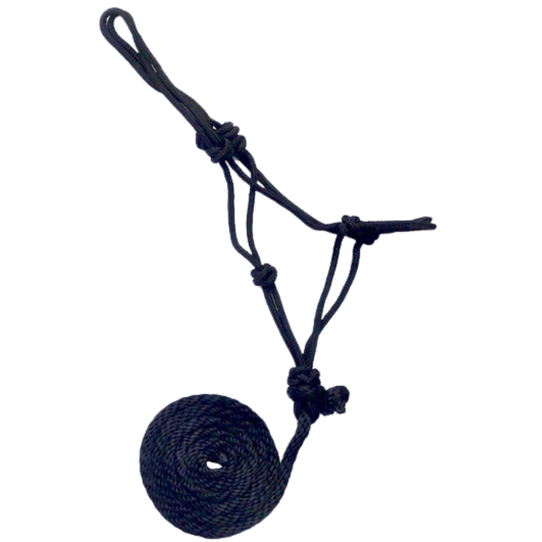 Tough 1 Mini Rope Halter with Lead Rope- Black