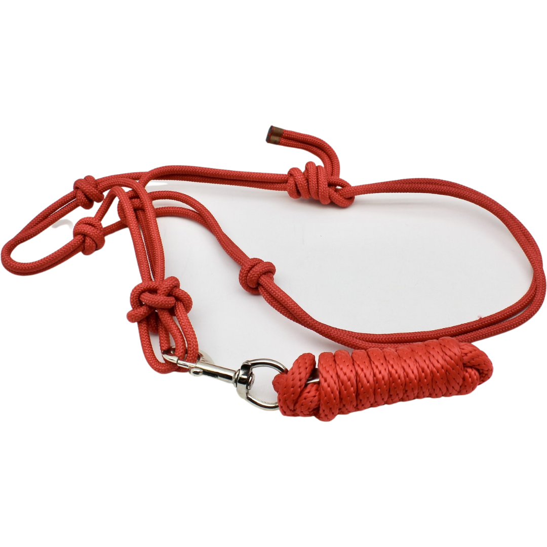 Tough 1 Mini Rope Halter with Lead Rope- Red