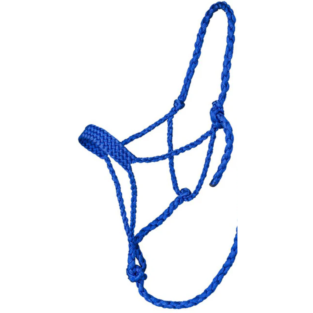 Tough 1 Royal Blue Mule Tape Halter with 10' Lead Rope