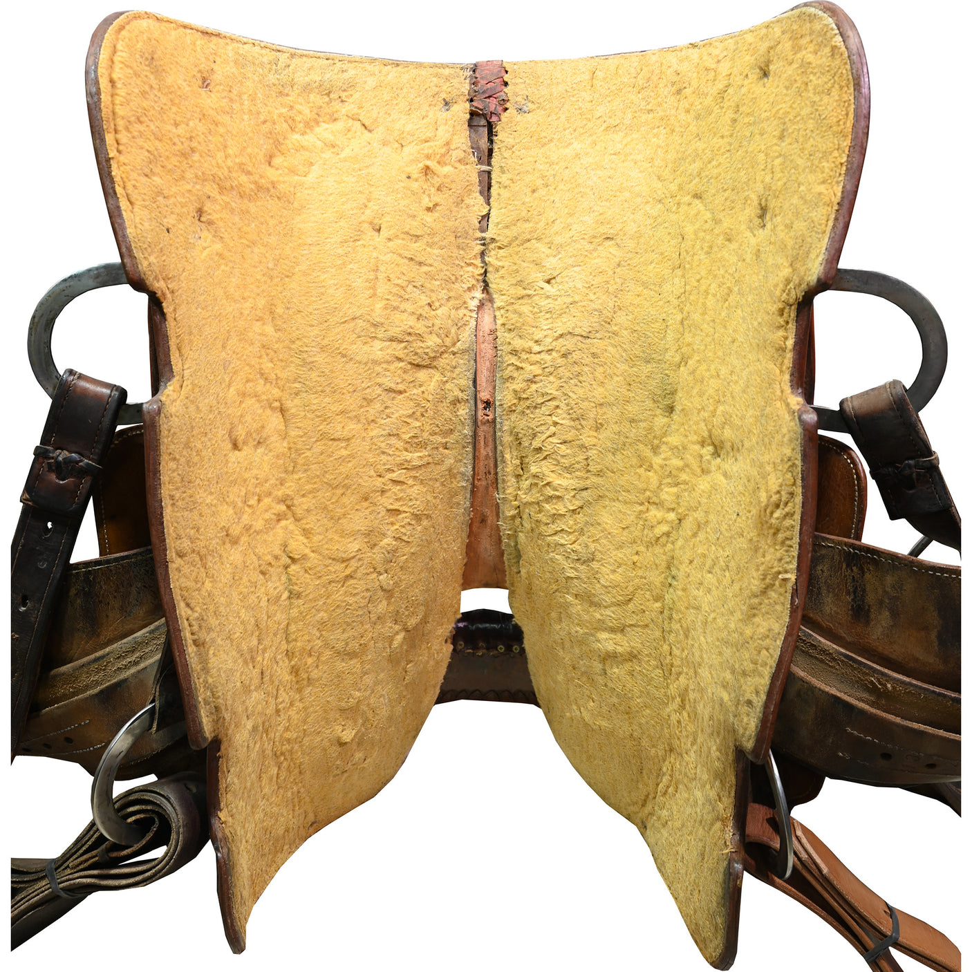 Used 14" FC Selas Calf Roping Saddle