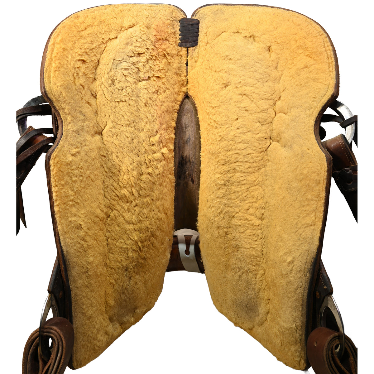 Used 16" Cactus Ranch Saddle