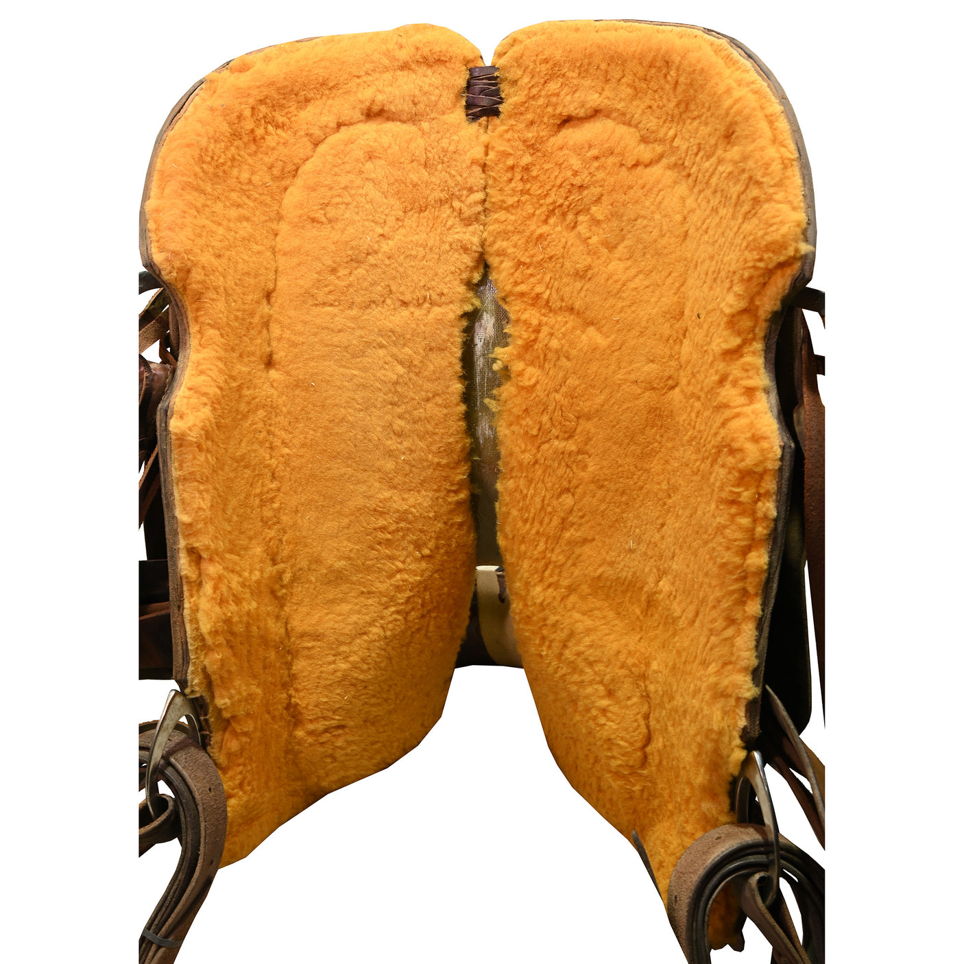 Used 16" Cactus Ranch Saddle with Lewis Tree