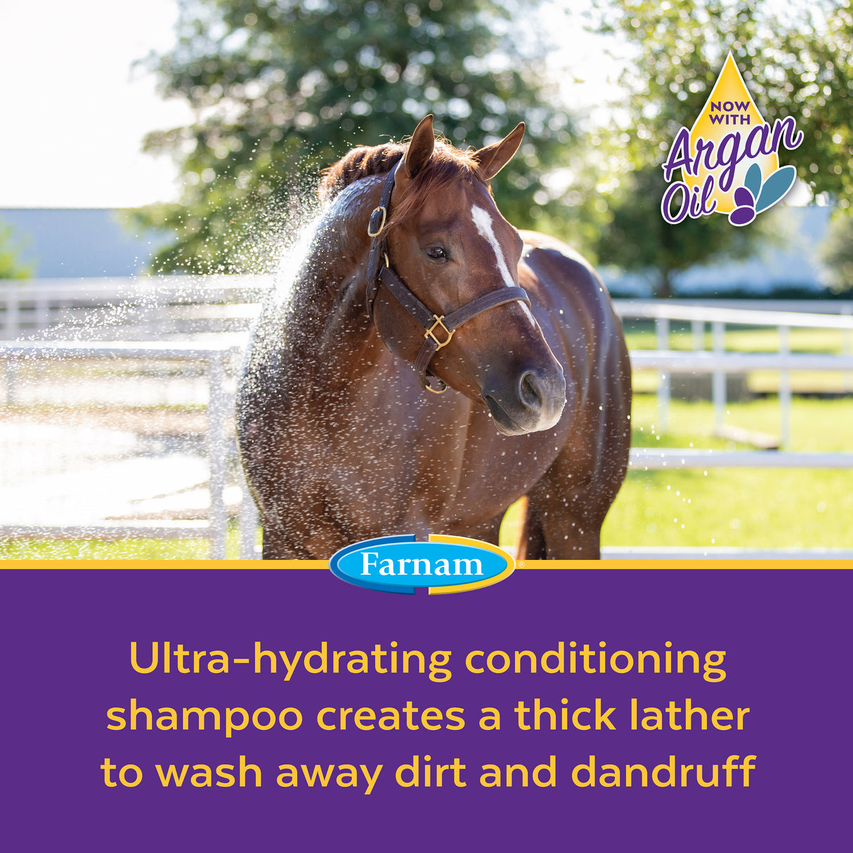 Farnam Vetrolin Bath Ultra-Hydrating Conditioning Shampoo- 32oz.